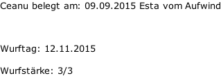 Ceanu belegt am: 09.09.2015 Esta vom Aufwind    Wurftag: 12.11.2015    Wurfstärke: 3/3