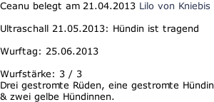 Ceanu belegt am 21.04.2013 Lilo von Kniebis  Ultraschall 21.05.2013: Hündin ist tragend  Wurftag: 25.06.2013  Wurfstärke: 3 / 3  Drei gestromte Rüden, eine gestromte Hündin & zwei gelbe Hündinnen.